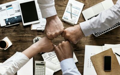 Minimizing Risk With The Best Insurance Coverage
