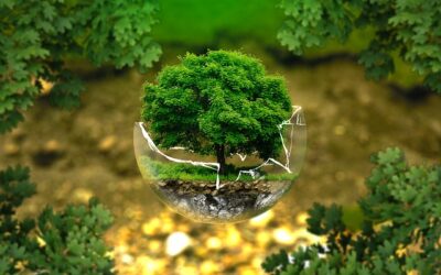 Pollution Liability Insurance: Safeguarding Against Environmental Risks