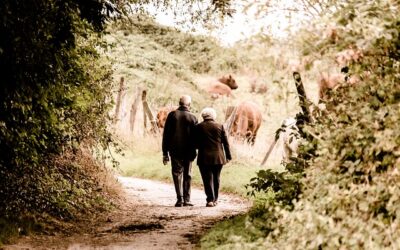Secure Your Financial Future With Fixed Annuities