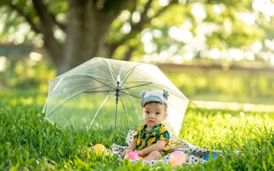Understanding The Importance Of Personal Liability Insurance