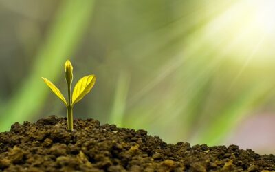 The Ultimate Guide To Understanding Variable Life Insurance