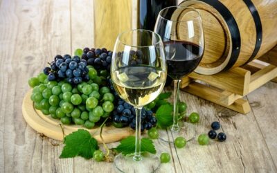 Insurance For Wineries: Protecting Your Vineyard And Business