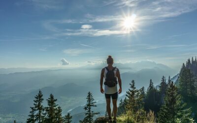The Top Insurance Companies: Best Picks For Coverage and Savings