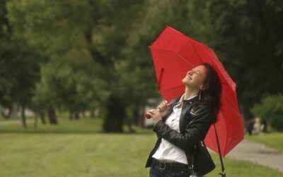 Understanding An Insurance Umbrella Policy