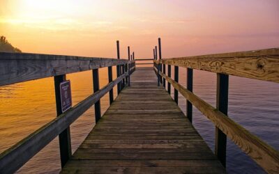 Discover The Top Life Insurance Companies