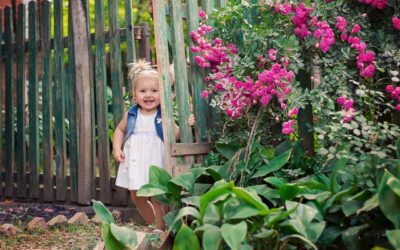 The Best House Insurance Companies You Need To Know About