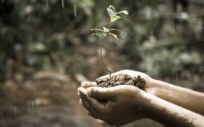 Understanding The Importance Of A Life Policy