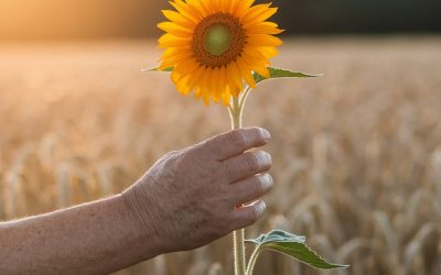 Explore Disability Insurance For Self Employed Individuals
