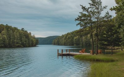 The Comprehensive Insurance Guide To A Liability Policy