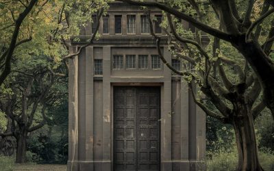 Understanding How A Captive Insurance Company Works