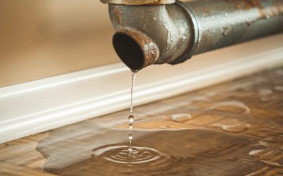 Understanding Home Insurance Exclusions and Limitations: What’s Not Covered and How to Fill the Gaps