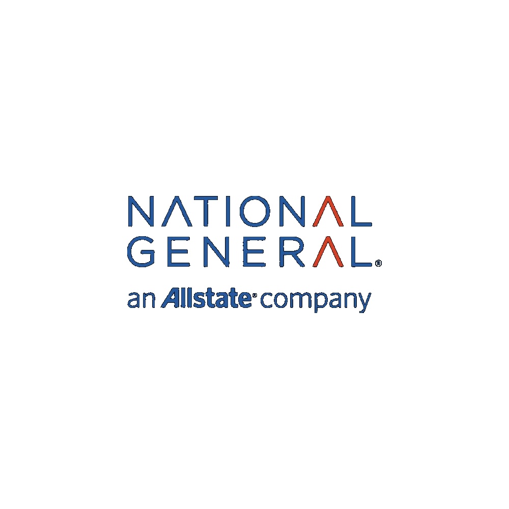 national-general-company-insurance-logo.jpg National General Company Insurance Logo