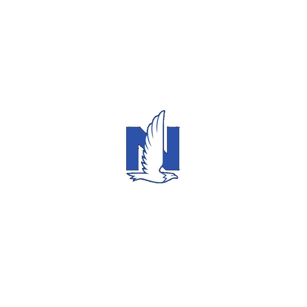 nationwide-company-insurance-logo.jpg Nationwide Company Insurance Logo